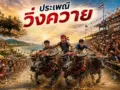 ประเพณีวิ่งควาย